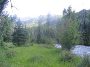 Colorado Summer