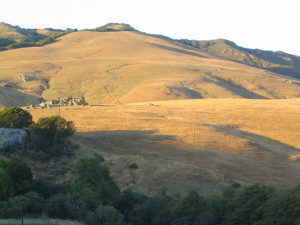 Summer  at Walker Creek Ranch,  June 2003
