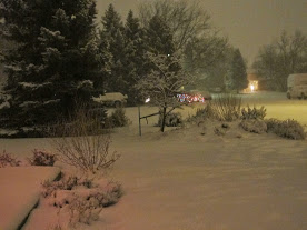 White Christmas in Colorado